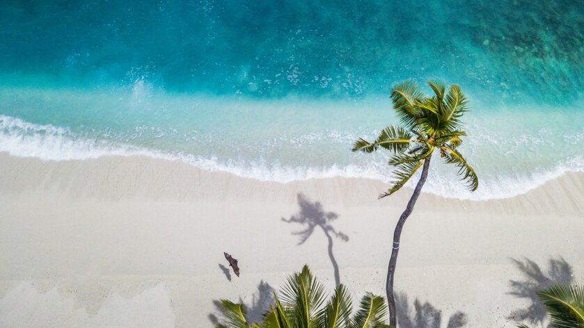 Человечеству угрожает исчезновение пляжей