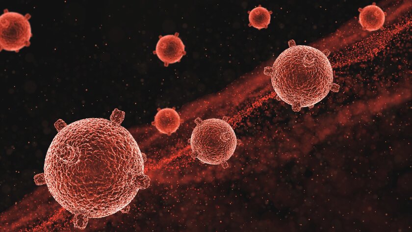 Раковые клетки поместили в чип, чтобы изучить брешь в иммунитете