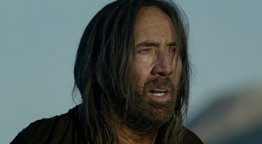 Николаса Кейджа атаковали пчёлы