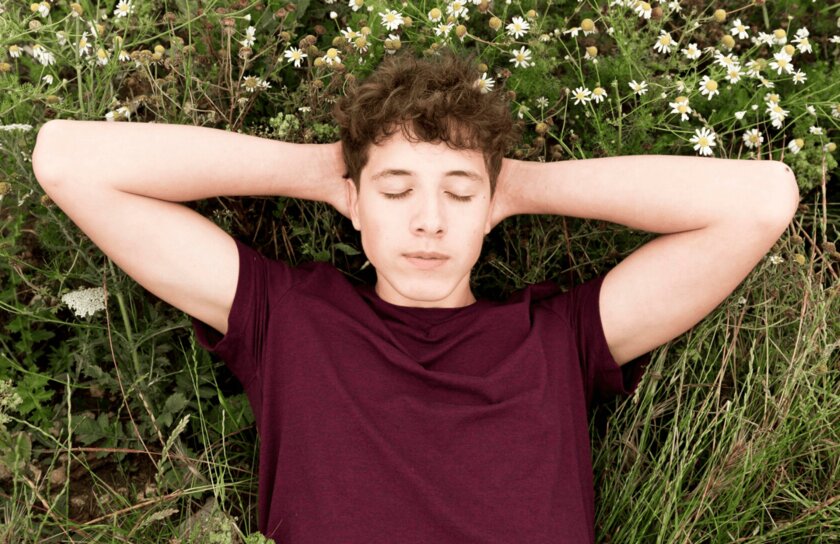 Как равдоггинг помогает стать более креативным