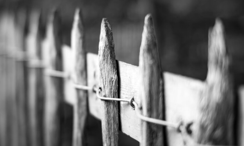 Мужчина с деревянными кольями выбежал на полицейских