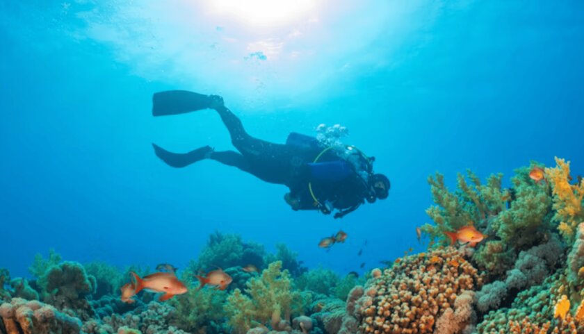 Создан первый в мире робоэкзоскелет для дайвинга