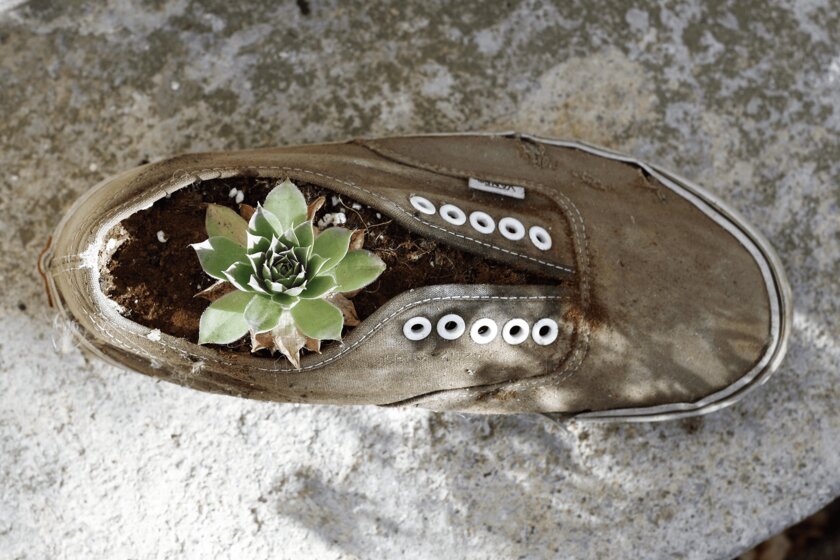 Выбираем эко-обувь: модно и полезно