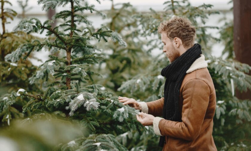 Как выбрать ёлку и гирлянду в последний момент