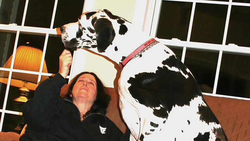 Собака Минни стала самой высокой в мире