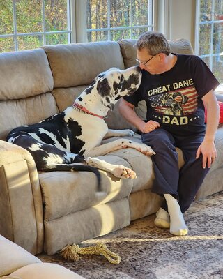 Собака Минни стала самой высокой в мире