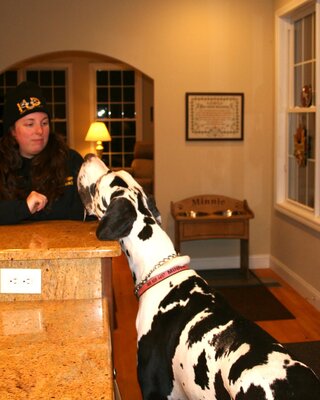 Собака Минни стала самой высокой в мире