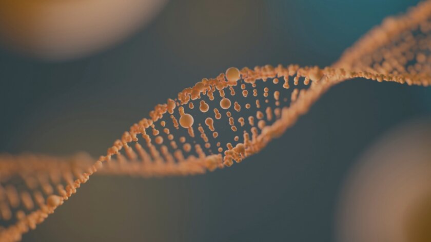 Создан препарат для омоложения клеток через глаза