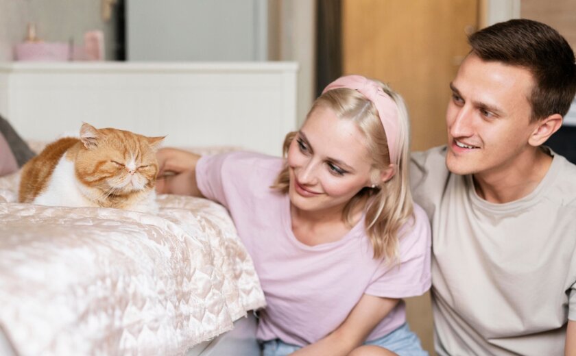 Опубликован рейтинг стран-кошатниц