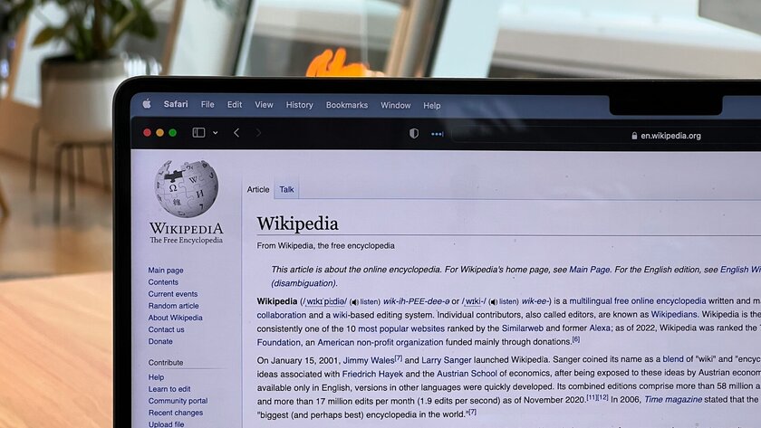 Кем чаще всего интересовались люди в 2025 году