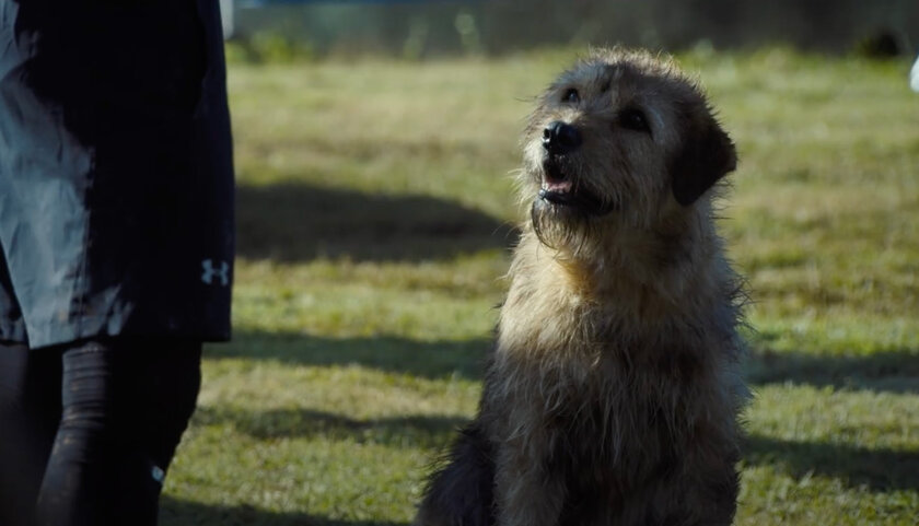 Назвали топ-5 лучших экранизаций книг за 2024 год