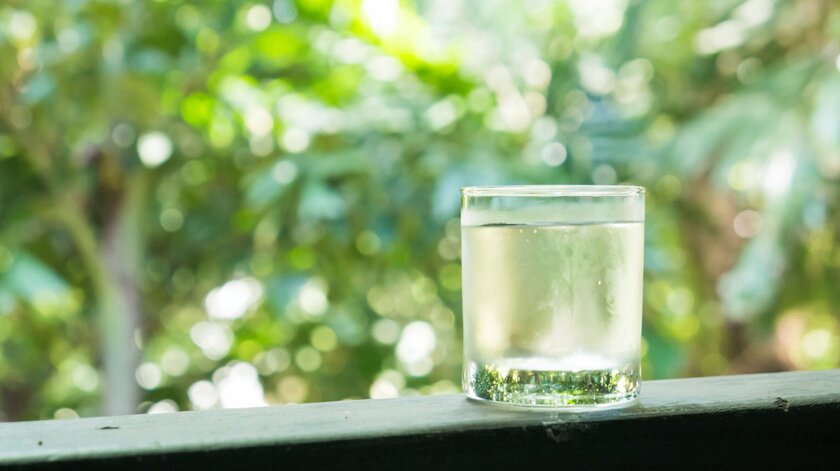 Ресторан Bjorn угощает посетителей берёзовым соком