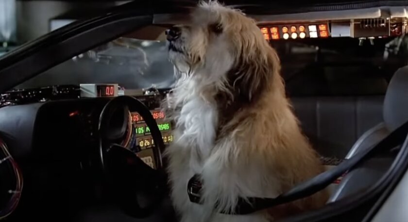 Фильму «Назад в будущее» исполнилось 40 лет