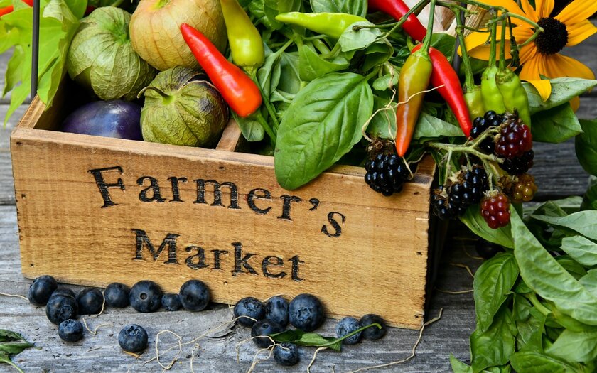 Стоит ли переплачивать за фермерские продукты?