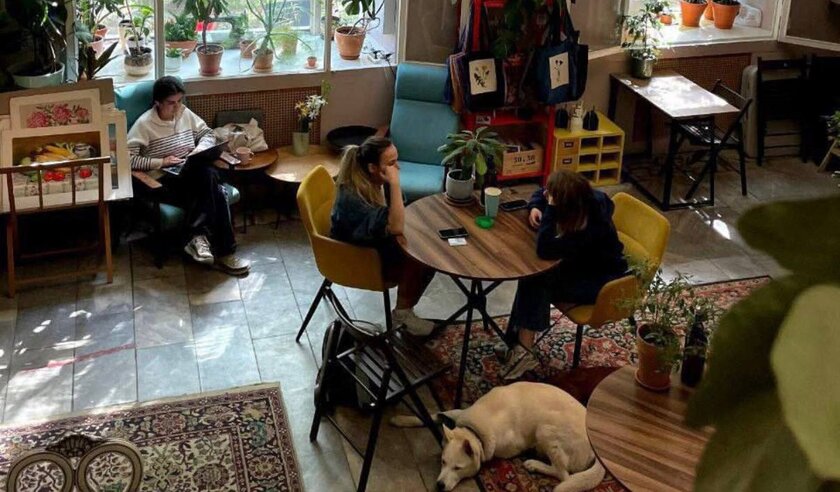 В Москве появилась арт-кофейня для ценителей домашнего уюта