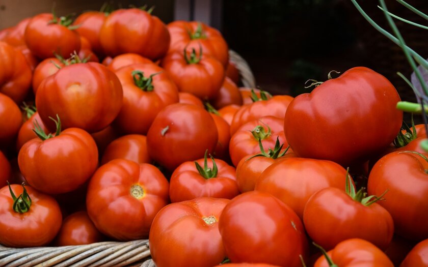 Помидоры: почему сезонные томаты вкуснее любых других