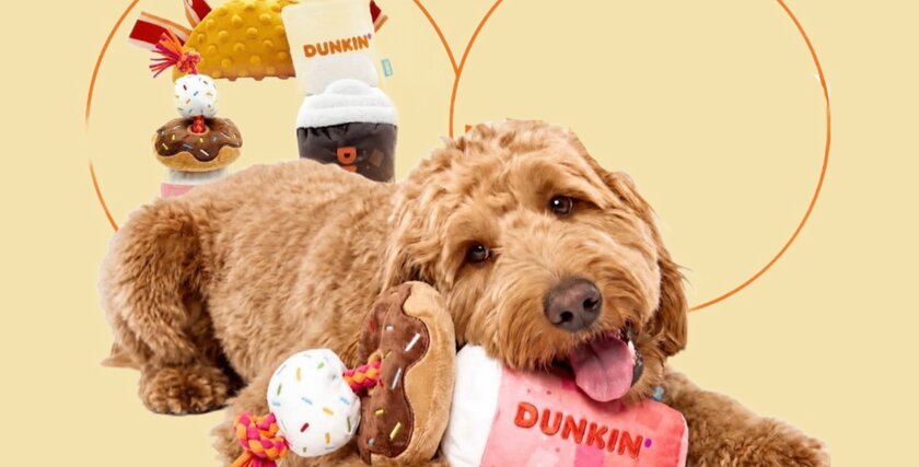 В Dunkin раздают мерч для собак: порадуй питомца игрушкой