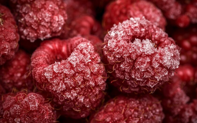 Можно ли повторно замораживать продукты