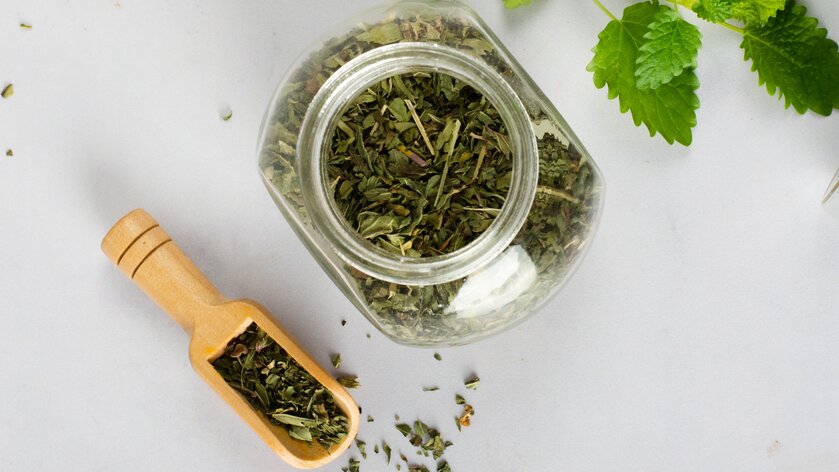 У родственника ромашки нашли противораковые свойства